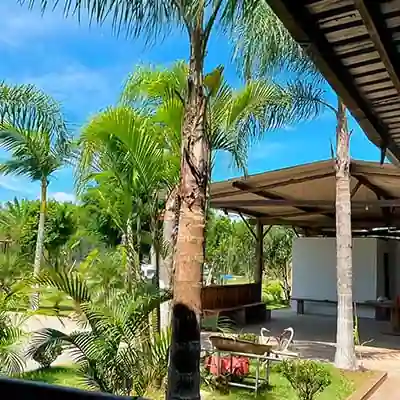 Clínica de recuperação em Suzano — foto 7